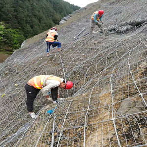 菁宸定做邊坡防護