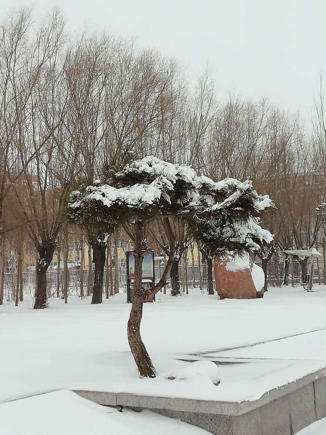 一(yī)踏入雪鄉，就看到厚厚的雪鋪滿在路上，腳踩在上面，發出咯吱咯吱的響聲;路的兩旁是排列整齊的平房，房子的屋頂是平的，堆積了厚厚的雪，雪太厚了，一(yī)直延伸到屋檐外(wài)，形成各種形狀，家家戶戶門前挂着大(dà)大(dà)紅燈籠，在潔白(bái)的積雪的映襯下(xià)，紅得是那麽的耀眼，袅袅炊煙在空中(zhōng)冉冉上升，充滿了詩情畫意。