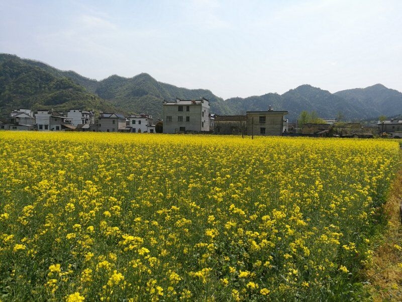 寒冬季節出去(qù)旅遊的朋友們，通常會選擇泡溫泉作爲行程中(zhōng)的一(yī)個重要節目。

溫泉中(zhōng)富含對人體(tǐ)有用的微量元素，泡溫泉不僅可以舒緩疲勞、緩解壓力還能美容護膚，起到強身健體(tǐ)的作用。

但是泡溫泉前我(wǒ)們需要準備些什麽呢？