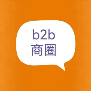 vip會員(yuán)的b2